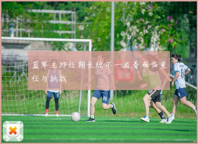 蓝军主帅任期长短不一龙哥面临重任与挑战