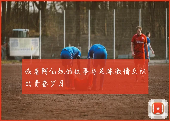 我看阿仙奴的故事与足球激情交织的青春岁月